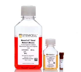 STEMCELL Technologies MesenCult Expansion Kit (Mouse) 17178271 [Pack of 1]