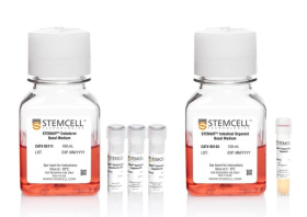 STEMCELL Technologies STEMdiff Intestinal Organoid Kit 17188251 [Pack of 1]