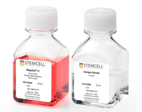 STEMCELL Technologies MegaCult-C Medium with Lipids 17198231 [Pack of 1]