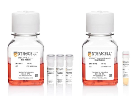 STEMCELL Technologies STEMdiff Intestinal Organoid Growth Medium 17198251 [Pack of 1]