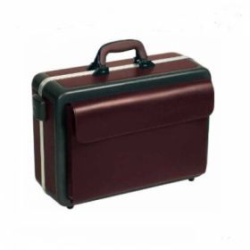 Bollmann Progress Case Leather Finish With Ampoule Case, Burgundy [Pack of 1]