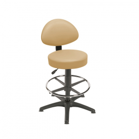 Gas-lift Stool with Back-Rest, Foot Ring & Glides
