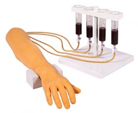 Erler Zimmer Injection Training Arm + Hand [Pack of 1]