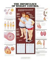 Anatomical Chart, The Importance of Weight Control