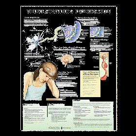 Anatomical Chart - Understanding Depression, 2nd Edition