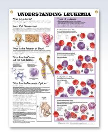 Anatomical Chart - Understanding Leukemia