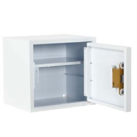 Controlled drug cabinet - 27 litre - 335 x 270 x 300MM [Pack of 1]