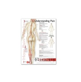 Anatomical Chart - Understanding Pain
