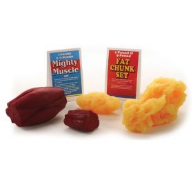 Fat Chunks And Mighty Muscles Model Set (1lb and 5lb) [Pack of 1]