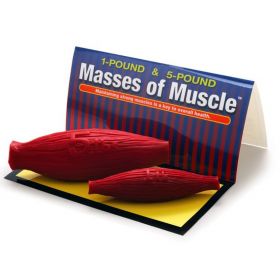 Masses of Muscle Set (1 lb and 5 lb) [Pack of 1]