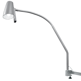Provita Lamp With Flexible Gooseneck Arm, Silver (LED)