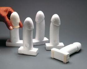 Erler Zimmer Condom Training Model [Pack of 1]
