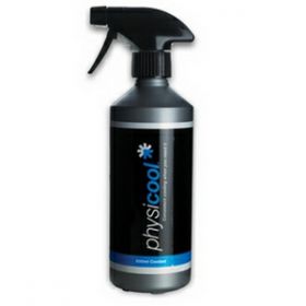 Physicool Coolant 500ml Spray