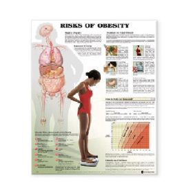 Anatomical Chart - Risks of Obesity
