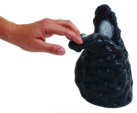 Smoker's Lung Model [Pack of 1]