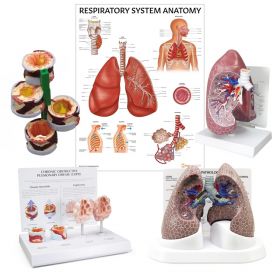 Lung Anatomy & Pathology Collection [Pack of 1]
