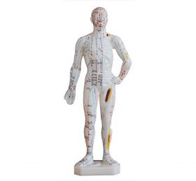 Mini Acupuncture Model (26 cm tall) [Pack of 1]