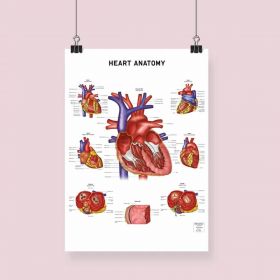Heart Anatomy Fine Art  Framed Print  With Mount  A1 Natural Wood [Pack of 1]