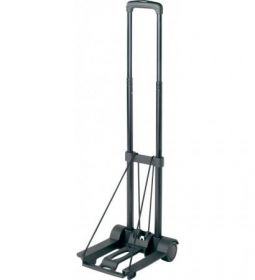 Wheeled Trolley [Pack of 1]