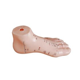 Foot Acupuncture Model [Pack of 1]